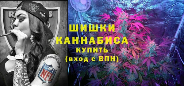 прущие крисы Переславль-Залесский