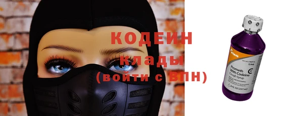дурь Пестово