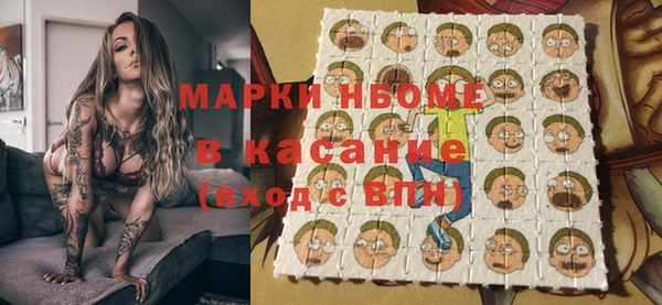 дурь Пестово