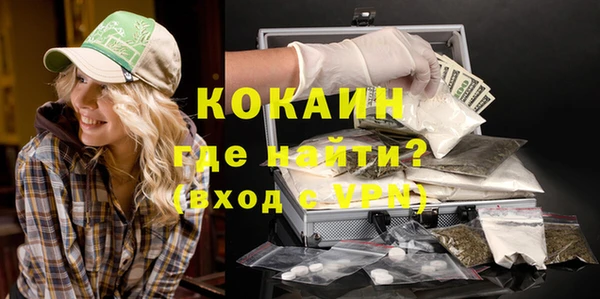 мдпв Пересвет