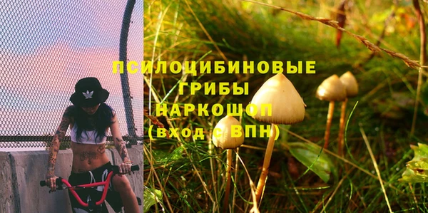 прущие крисы Переславль-Залесский