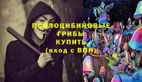 дурь Пестово