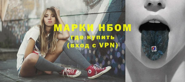 дурь Пестово
